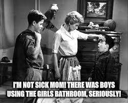 I'M NOT SICK MOM! THERE WAS BOYS USING THE GIRLS BATHROOM, SERIOUSLY! | made w/ Imgflip meme maker