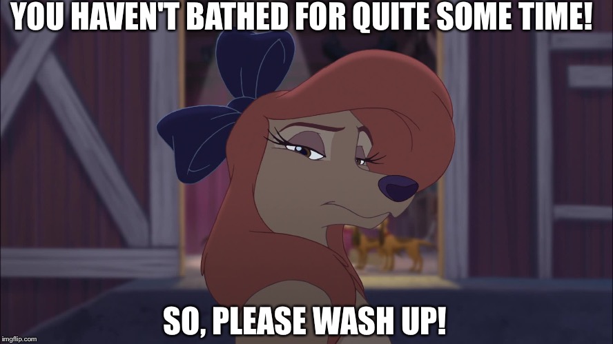 You Haven't Bathed For Quite Some Time! | YOU HAVEN'T BATHED FOR QUITE SOME TIME! SO, PLEASE WASH UP! | image tagged in dixie serious,memes,disney,the fox and the hound 2,reba mcentire,dog | made w/ Imgflip meme maker