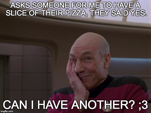 Stupid Joke Picard | ASKS SOMEONE FOR ME TO HAVE A SLICE OF THEIR PIZZA, THEY SAID YES. CAN I HAVE ANOTHER? ;3 | image tagged in stupid joke picard | made w/ Imgflip meme maker