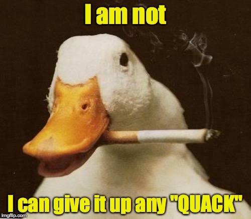 I am not I can give it up any "QUACK" | made w/ Imgflip meme maker