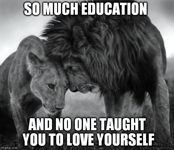 lion_lioness | SO MUCH EDUCATION; AND NO ONE TAUGHT YOU TO LOVE YOURSELF | image tagged in lion_lioness | made w/ Imgflip meme maker