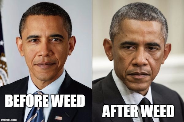 Before and After | AFTER WEED; BEFORE WEED | image tagged in before and after | made w/ Imgflip meme maker