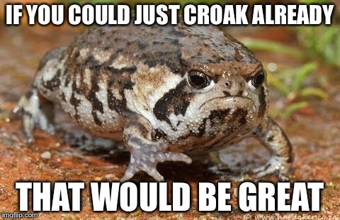 Grumpy Toad | IF YOU COULD JUST CROAK ALREADY; THAT WOULD BE GREAT | image tagged in grumpy toad,memes,funny animals,puns,funny,toad | made w/ Imgflip meme maker