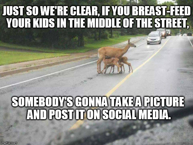 Breast-Feeding: It's Totally Natural | JUST SO WE'RE CLEAR, IF YOU BREAST-FEED YOUR KIDS IN THE MIDDLE OF THE STREET, SOMEBODY'S GONNA TAKE A PICTURE AND POST IT ON SOCIAL MEDIA. | image tagged in breast-feeding,deer,street,social media | made w/ Imgflip meme maker