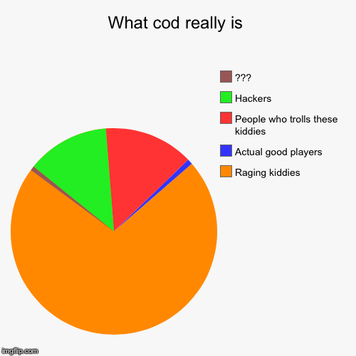 Warning: not 100% correct
 | image tagged in funny,pie charts | made w/ Imgflip chart maker