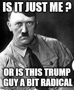Adolf Hitler | IS IT JUST ME ? OR IS THIS TRUMP GUY A BIT RADICAL | image tagged in adolf hitler | made w/ Imgflip meme maker