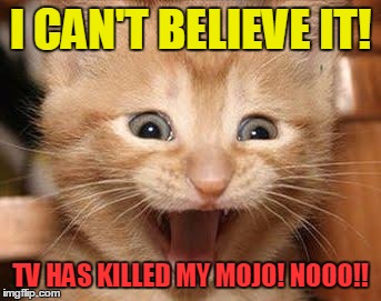 Excited Cat | I CAN'T BELIEVE IT! TV HAS KILLED MY MOJO! NOOO!! | image tagged in memes,excited cat | made w/ Imgflip meme maker