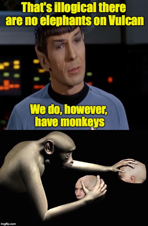 That's illogical there are no elephants on Vulcan We do, however, have monkeys | made w/ Imgflip meme maker