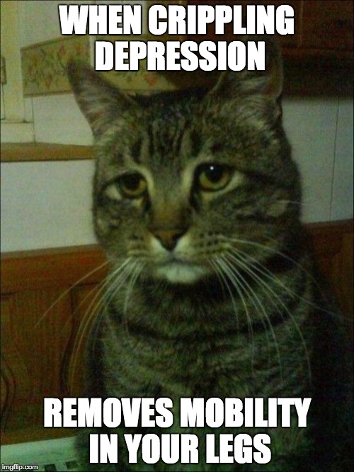 Depressed Cat Meme | WHEN CRIPPLING DEPRESSION; REMOVES MOBILITY IN YOUR LEGS | image tagged in memes,depressed cat | made w/ Imgflip meme maker