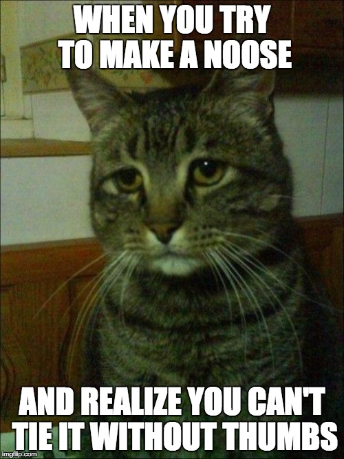 Depressed Cat Meme | WHEN YOU TRY TO MAKE A NOOSE; AND REALIZE YOU CAN'T TIE IT WITHOUT THUMBS | image tagged in memes,depressed cat | made w/ Imgflip meme maker
