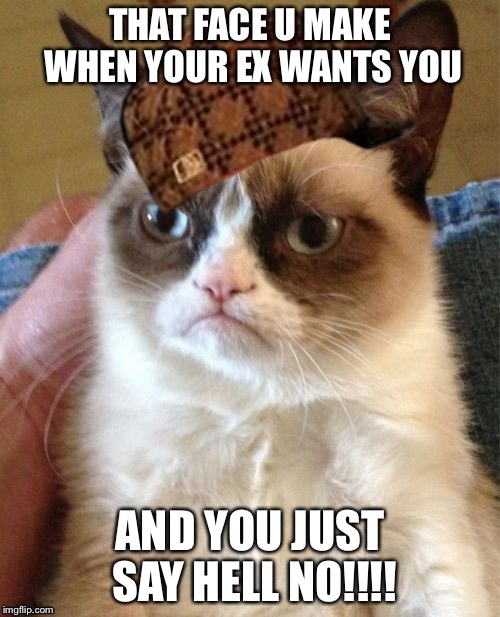 Grumpy Cat | THAT FACE U MAKE WHEN YOUR EX WANTS YOU; AND YOU JUST SAY HELL NO!!!! | image tagged in memes,grumpy cat,scumbag | made w/ Imgflip meme maker
