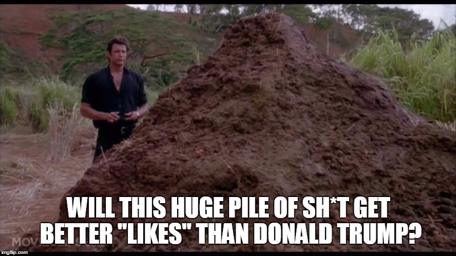 Doesn't seem to be much of a contest | WILL THIS HUGE PILE OF SH*T GET BETTER "LIKES" THAN DONALD TRUMP? | image tagged in donald trump,doo doo | made w/ Imgflip meme maker