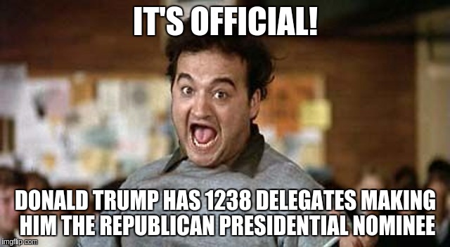 IT"S OFFICIAL! | IT'S OFFICIAL! DONALD TRUMP HAS 1238 DELEGATES MAKING HIM THE REPUBLICAN PRESIDENTIAL NOMINEE | image tagged in its official | made w/ Imgflip meme maker