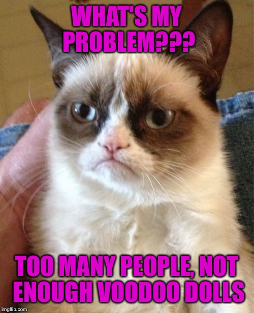 Grumpy Cat Meme | WHAT'S MY PROBLEM??? TOO MANY PEOPLE, NOT ENOUGH VOODOO DOLLS | image tagged in memes,grumpy cat | made w/ Imgflip meme maker