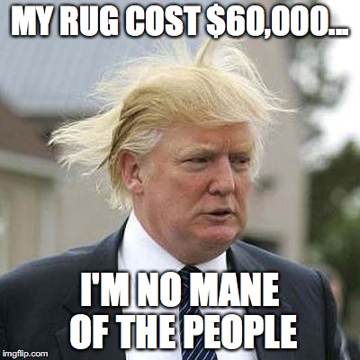 MY RUG COST $60,000... I'M NO MANE OF THE PEOPLE | image tagged in trump,hair,donald trump hair,trump hair | made w/ Imgflip meme maker