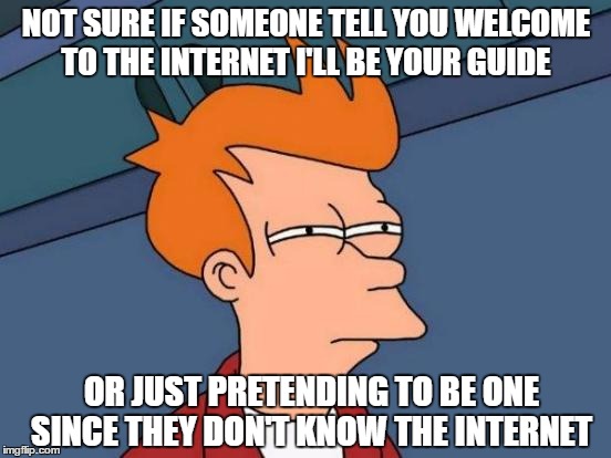 Futurama Fry Meme | NOT SURE IF SOMEONE TELL YOU WELCOME TO THE INTERNET I'LL BE YOUR GUIDE; OR JUST PRETENDING TO BE ONE SINCE THEY DON'T KNOW THE INTERNET | image tagged in memes,futurama fry | made w/ Imgflip meme maker