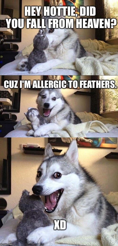 Bad Pun Dog Meme | HEY HOTTIE, DID YOU FALL FROM HEAVEN? CUZ I'M ALLERGIC TO FEATHERS. XD | image tagged in memes,bad pun dog | made w/ Imgflip meme maker
