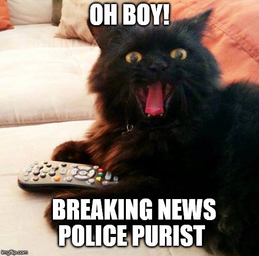 OH BOY! another Police pursuit | OH BOY! BREAKING NEWS POLICE PURIST | image tagged in oh boy cat,memes,reality tv,funny,police,crime | made w/ Imgflip meme maker
