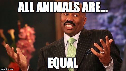 ALL ANIMALS ARE... EQUAL | image tagged in memes,steve harvey | made w/ Imgflip meme maker
