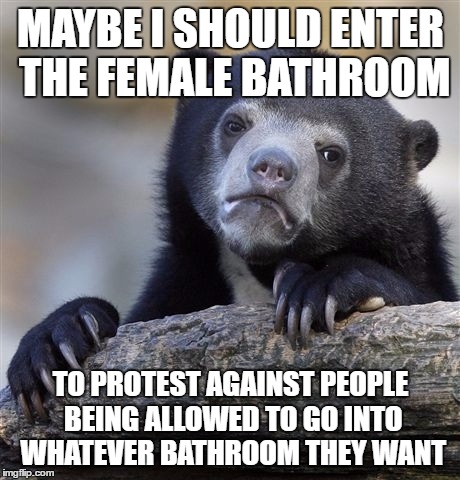 Confession Bear Meme | MAYBE I SHOULD ENTER THE FEMALE BATHROOM TO PROTEST AGAINST PEOPLE BEING ALLOWED TO GO INTO WHATEVER BATHROOM THEY WANT | image tagged in memes,confession bear | made w/ Imgflip meme maker