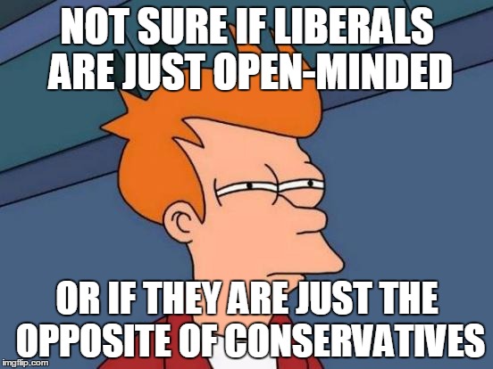 Futurama Fry | NOT SURE IF LIBERALS ARE JUST OPEN-MINDED; OR IF THEY ARE JUST THE OPPOSITE OF CONSERVATIVES | image tagged in memes,futurama fry | made w/ Imgflip meme maker