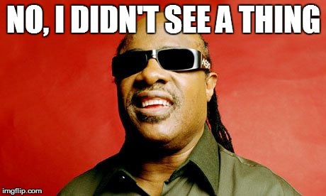 NO, I DIDN'T SEE A THING | image tagged in stevie wonder | made w/ Imgflip meme maker