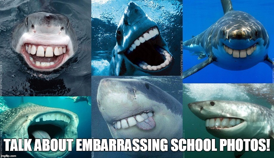 Sharks With Human Teeth | TALK ABOUT EMBARRASSING SCHOOL PHOTOS! | image tagged in memes,funny,animals,sharks,teeth,human | made w/ Imgflip meme maker