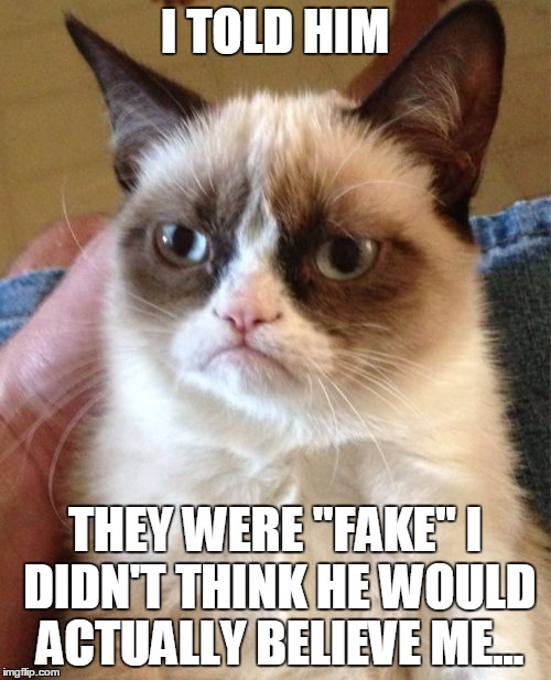 Grumpy Cat Meme | I TOLD HIM THEY WERE "FAKE" I DIDN'T THINK HE WOULD ACTUALLY BELIEVE ME... | image tagged in memes,grumpy cat | made w/ Imgflip meme maker