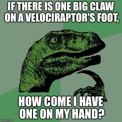 Philosoraptor Meme | IF THERE IS ONE BIG CLAW ON A VELOCIRAPTOR'S FOOT, HOW COME I HAVE ONE ON MY HAND? | image tagged in memes,philosoraptor | made w/ Imgflip meme maker