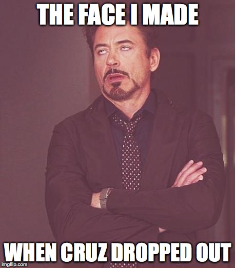 the face you make | THE FACE I MADE; WHEN CRUZ DROPPED OUT | image tagged in memes,face you make robert downey jr | made w/ Imgflip meme maker