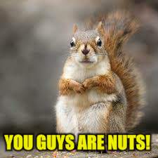 YOU GUYS ARE NUTS! | made w/ Imgflip meme maker