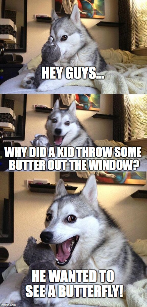 not funny | HEY GUYS... WHY DID A KID THROW SOME BUTTER OUT THE WINDOW? HE WANTED TO SEE A BUTTERFLY! | image tagged in memes,bad pun dog | made w/ Imgflip meme maker