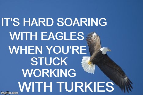 IT'S HARD SOARING WITH TURKIES WITH EAGLES WHEN YOU'RE STUCK WORKING | made w/ Imgflip meme maker