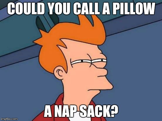 Futurama Fry | COULD YOU CALL A PILLOW; A NAP SACK? | image tagged in memes,futurama fry | made w/ Imgflip meme maker