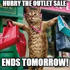 Cat shopping | HURRY THE OUTLET SALE; ENDS TOMORROW! | image tagged in cat shopping | made w/ Imgflip meme maker