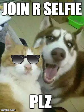 CatDogSelfie | JOIN R SELFIE; PLZ | image tagged in catdogselfie | made w/ Imgflip meme maker