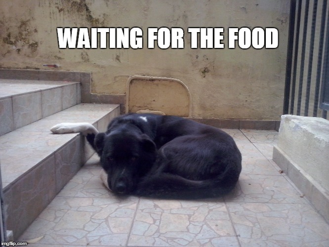 WAITING FOR THE FOOD | image tagged in oscar | made w/ Imgflip meme maker