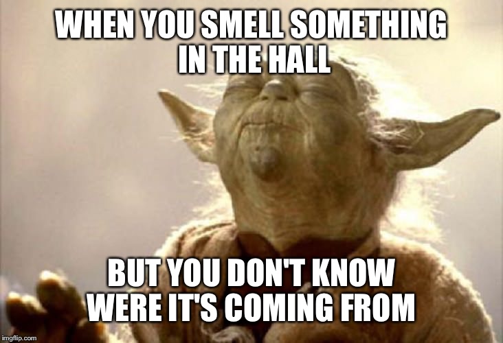 SMELLING YODA | WHEN YOU SMELL SOMETHING IN THE HALL; BUT YOU DON'T KNOW WERE IT'S COMING FROM | image tagged in smelling yoda | made w/ Imgflip meme maker