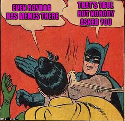 Batman Slapping Robin Meme | EVEN RAYDOG HAS MEMES THERE THAT'S TRUE BUT NOBODY ASKED YOU | image tagged in memes,batman slapping robin | made w/ Imgflip meme maker