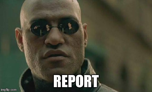 Matrix Morpheus Meme | REPORT | image tagged in memes,matrix morpheus | made w/ Imgflip meme maker