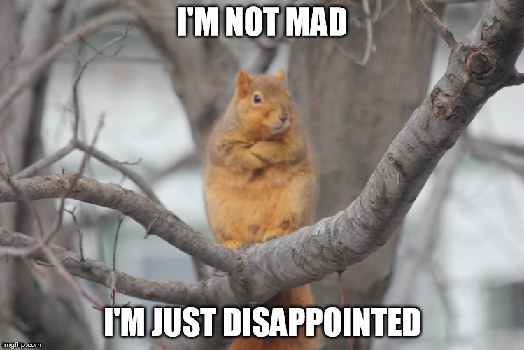 I'M NOT MAD; I'M JUST DISAPPOINTED | made w/ Imgflip meme maker