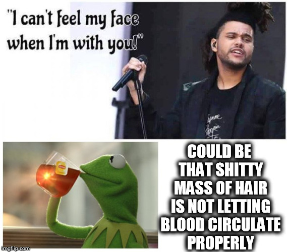 COULD BE THAT SHITTY MASS OF HAIR IS NOT LETTING BLOOD CIRCULATE PROPERLY | image tagged in kermit,weekend,kermit the frog,hair,bad hair day,bruh haircut | made w/ Imgflip meme maker