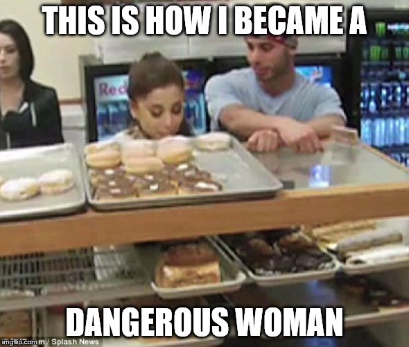 THIS IS HOW I BECAME A; DANGEROUS WOMAN | image tagged in donutgate | made w/ Imgflip meme maker