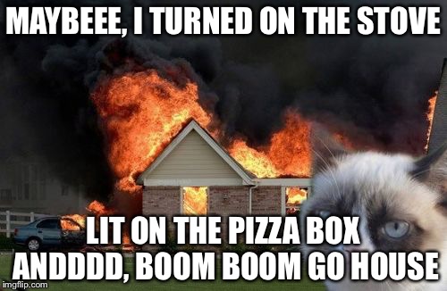 Burn Kitty Meme | MAYBEEE, I TURNED ON THE STOVE; LIT ON THE PIZZA BOX ANDDDD, BOOM BOOM GO HOUSE | image tagged in memes,burn kitty | made w/ Imgflip meme maker