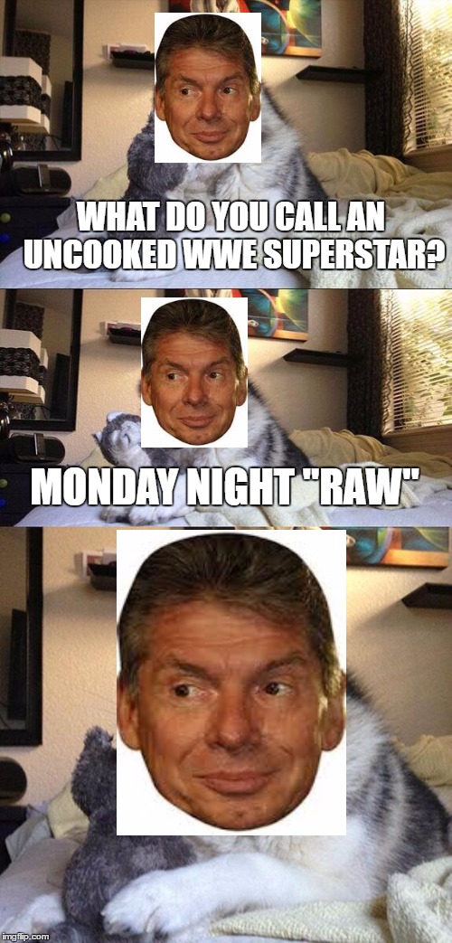 Bad Pun Vince | WHAT DO YOU CALL AN UNCOOKED WWE SUPERSTAR? MONDAY NIGHT "RAW" | image tagged in memes,bad pun dog | made w/ Imgflip meme maker
