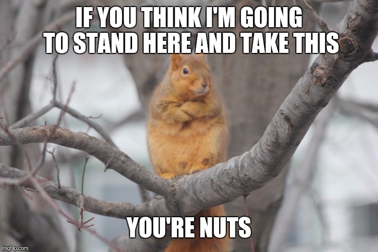 IF YOU THINK I'M GOING TO STAND HERE AND TAKE THIS; YOU'RE NUTS | made w/ Imgflip meme maker