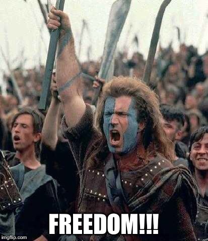 Braveheart Mel Gibson | FREEDOM!!! | image tagged in braveheart mel gibson | made w/ Imgflip meme maker
