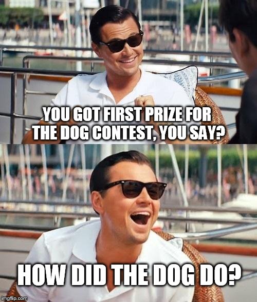 Leonardo Dicaprio Wolf Of Wall Street | YOU GOT FIRST PRIZE FOR THE DOG CONTEST, YOU SAY? HOW DID THE DOG DO? | image tagged in memes,leonardo dicaprio wolf of wall street | made w/ Imgflip meme maker