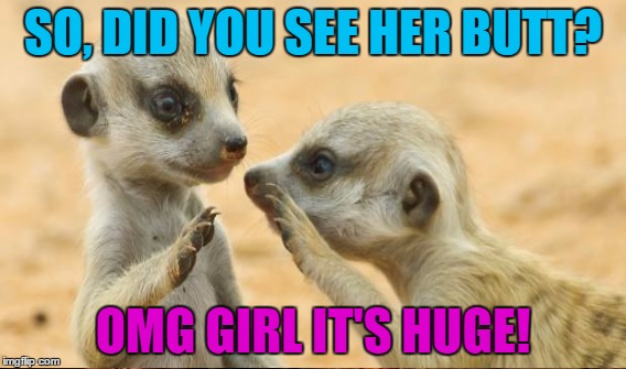 SO, DID YOU SEE HER BUTT? OMG GIRL IT'S HUGE! | made w/ Imgflip meme maker