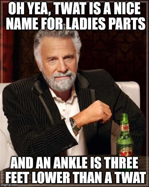 The Most Interesting Man In The World Meme | OH YEA, TWAT IS A NICE NAME FOR LADIES PARTS AND AN ANKLE IS THREE FEET LOWER THAN A TWAT | image tagged in memes,the most interesting man in the world | made w/ Imgflip meme maker